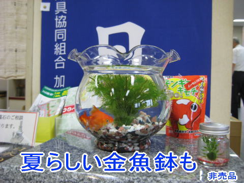 本店展示2010_07_04