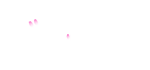 樹木葬　富山県射水市　桜樹の杜