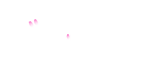 樹木葬　富山県射水市　桜樹の杜